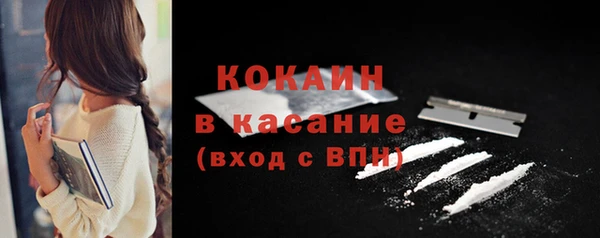 крисы Ростов