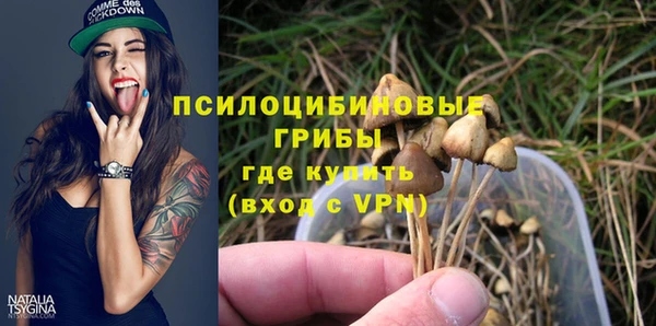 прущие крисы Абаза