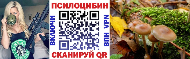 сколько стоит  Карабаново  Псилоцибиновые грибы мухоморы 